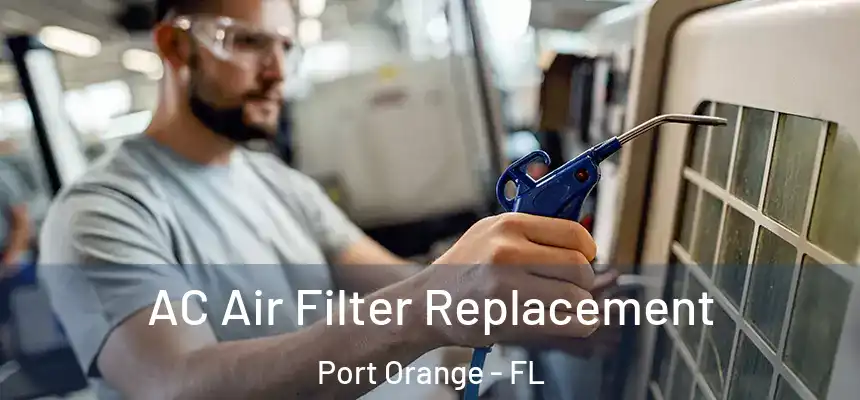 AC Air Filter Replacement Port Orange - FL