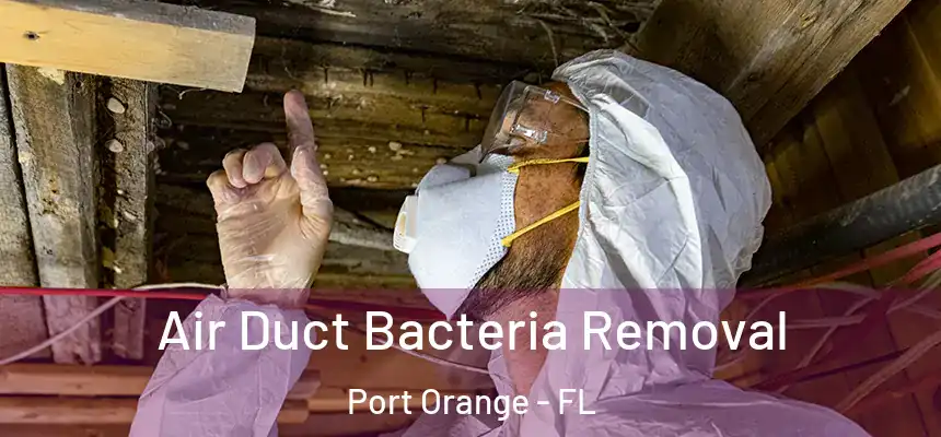 Air Duct Bacteria Removal Port Orange - FL