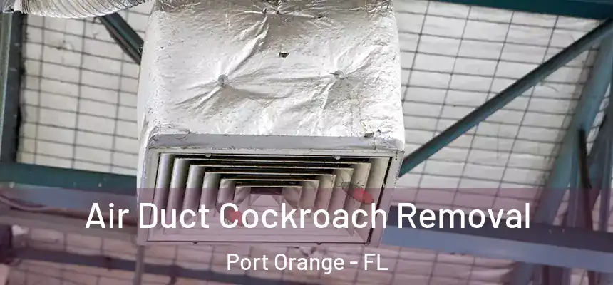 Air Duct Cockroach Removal Port Orange - FL
