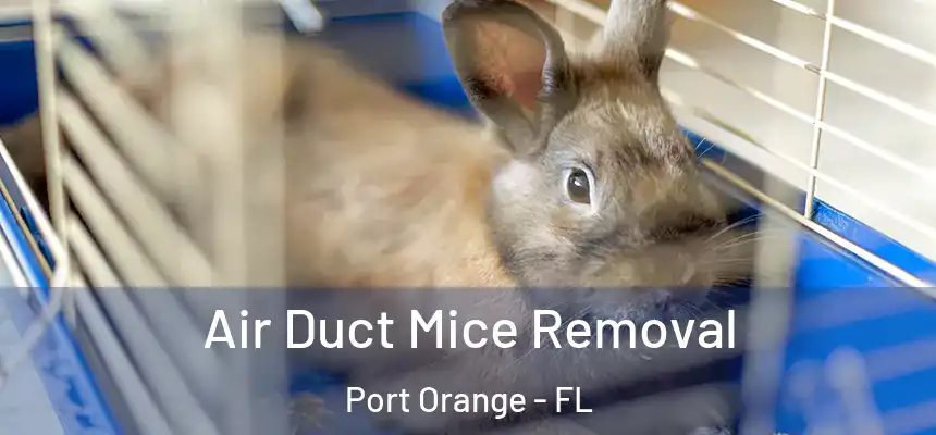 Air Duct Mice Removal Port Orange - FL