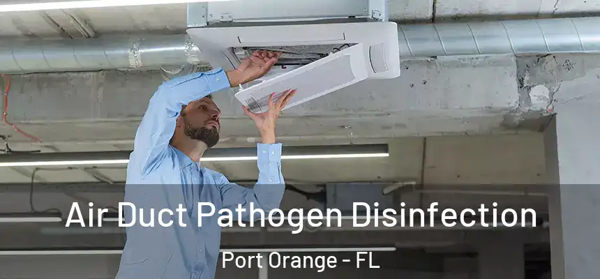 Air Duct Pathogen Disinfection Port Orange - FL