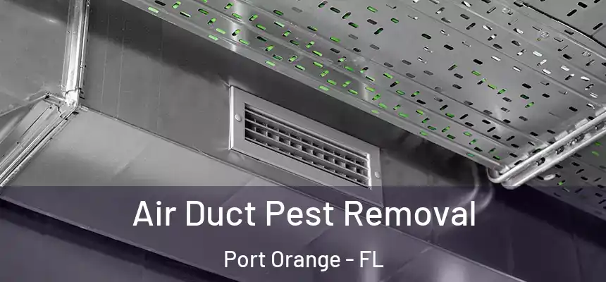 Air Duct Pest Removal Port Orange - FL