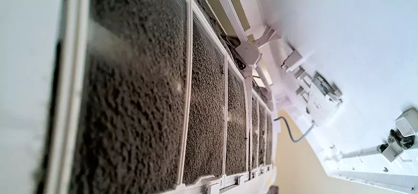 Preventive Air Duct Bacteria Removal in Port Orange