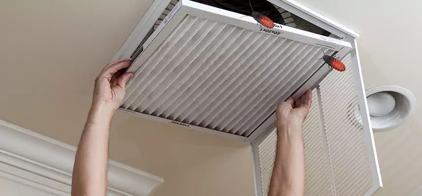 Preventive Cockroach-Proofing for Ducts in Port Orange