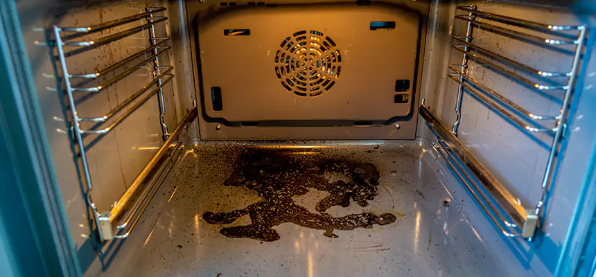 Our Dryer Vent Mold Cleaning Services in Port Orange, FL