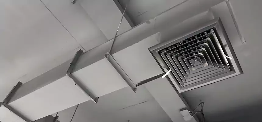 Our Rodent Droppings In Vents Services in Port Orange, FL