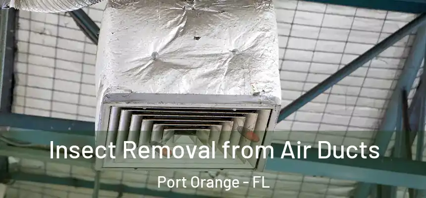 Insect Removal from Air Ducts Port Orange - FL