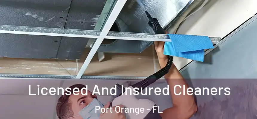 Licensed And Insured Cleaners Port Orange - FL