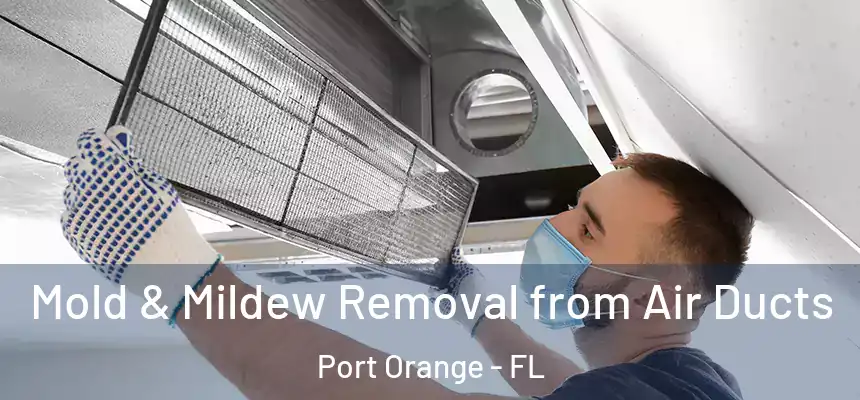 Mold & Mildew Removal from Air Ducts Port Orange - FL