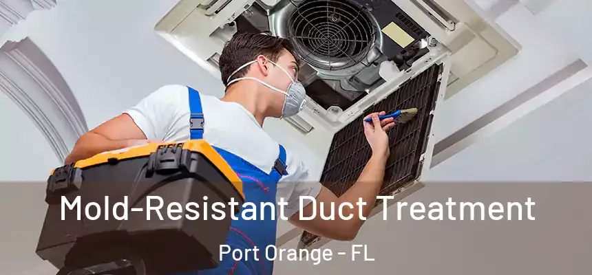 Mold-Resistant Duct Treatment Port Orange - FL