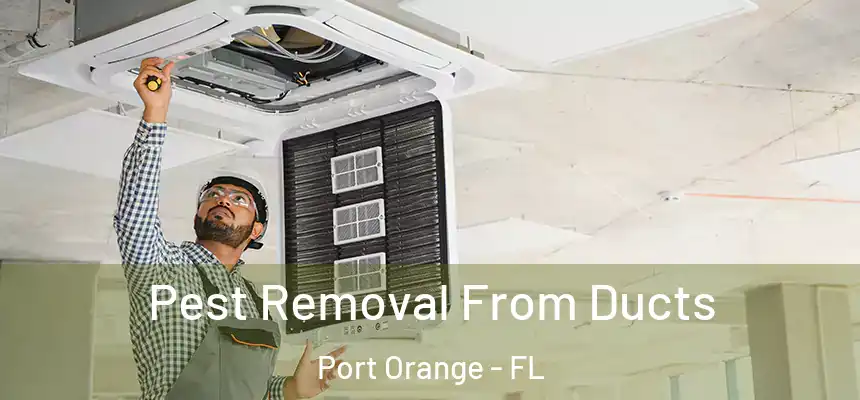 Pest Removal From Ducts Port Orange - FL