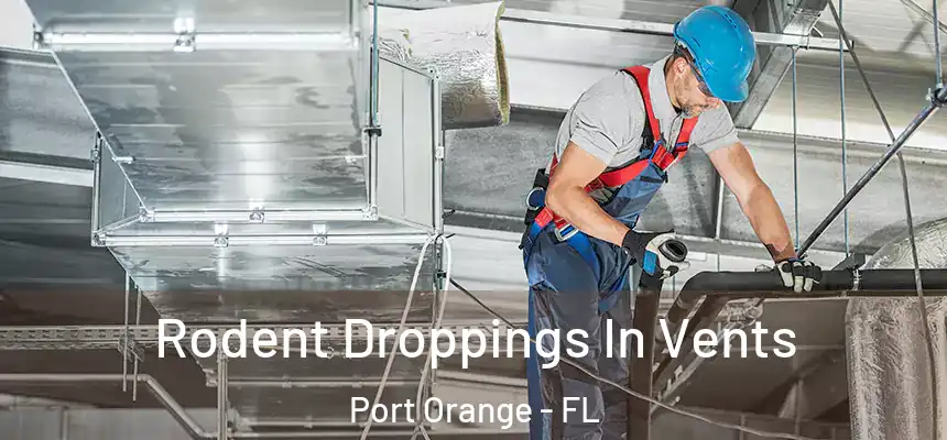 Rodent Droppings In Vents Port Orange - FL