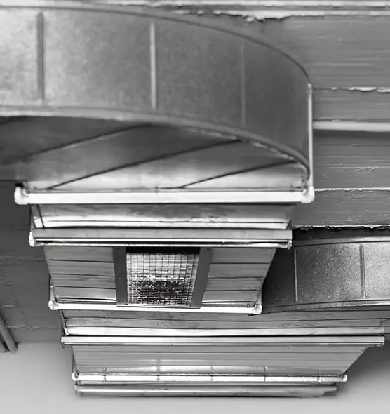 Professional Air Duct Pet Hair Removal in Port Orange, FL