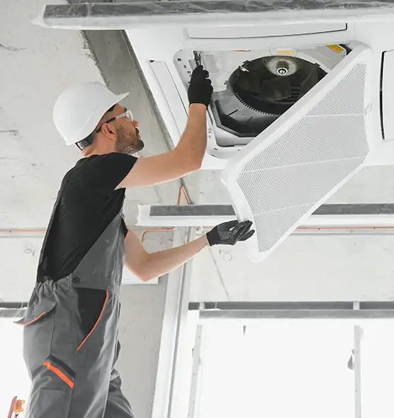 About Air Duct Rodent Removal in Port Orange, FL