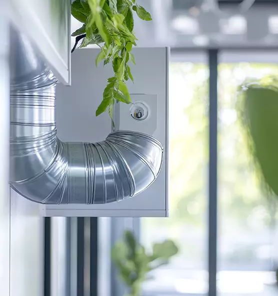 Professional Eco-Safe Dryer Vent Cleaning in Port Orange, FL