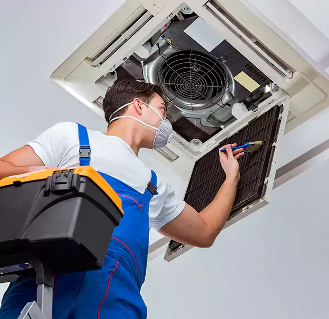 Why Homeowners & Businesses Trust Us in Port Orange, FL