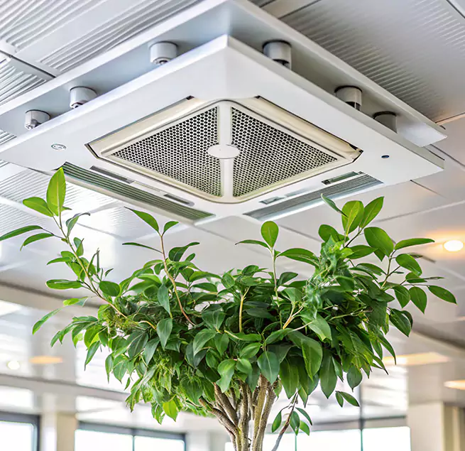 Why Homeowners & Businesses Trust Us in Port Orange, FL